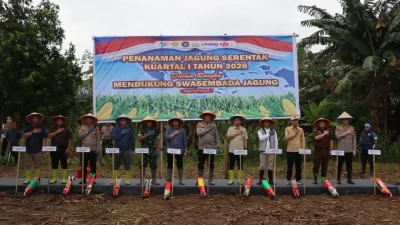 Dukung Swasembada Jagung Nasional, Kapolres Maros Dampingi Kapolda Sulsel Tanam Jagung di Tompobulu